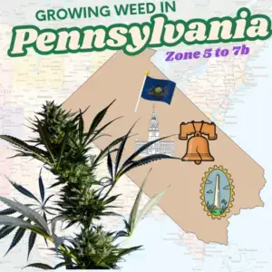 USDA Hardiness Zones map of Pennsylvania highlighting Zones 5, 6, and 7, featuring a healthy cannabis plant and the text overlay 'Growing Weed In Pennsylvania