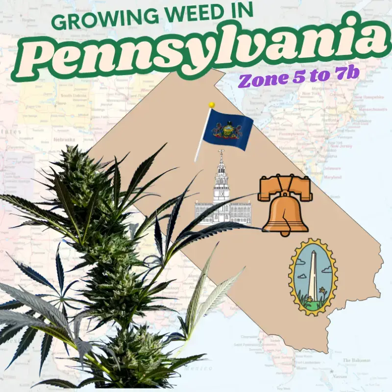 USDA Hardiness Zones map of Pennsylvania highlighting Zones 5, 6, and 7, featuring a healthy cannabis plant and the text overlay 'Growing Weed In Pennsylvania