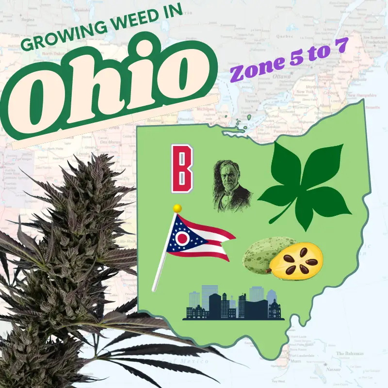 Map of Ohio hardiness zones 5b to 6b for growing cannabis outdoors, featuring a marijuana plant icon and 2026 legal home grow cultivation text.