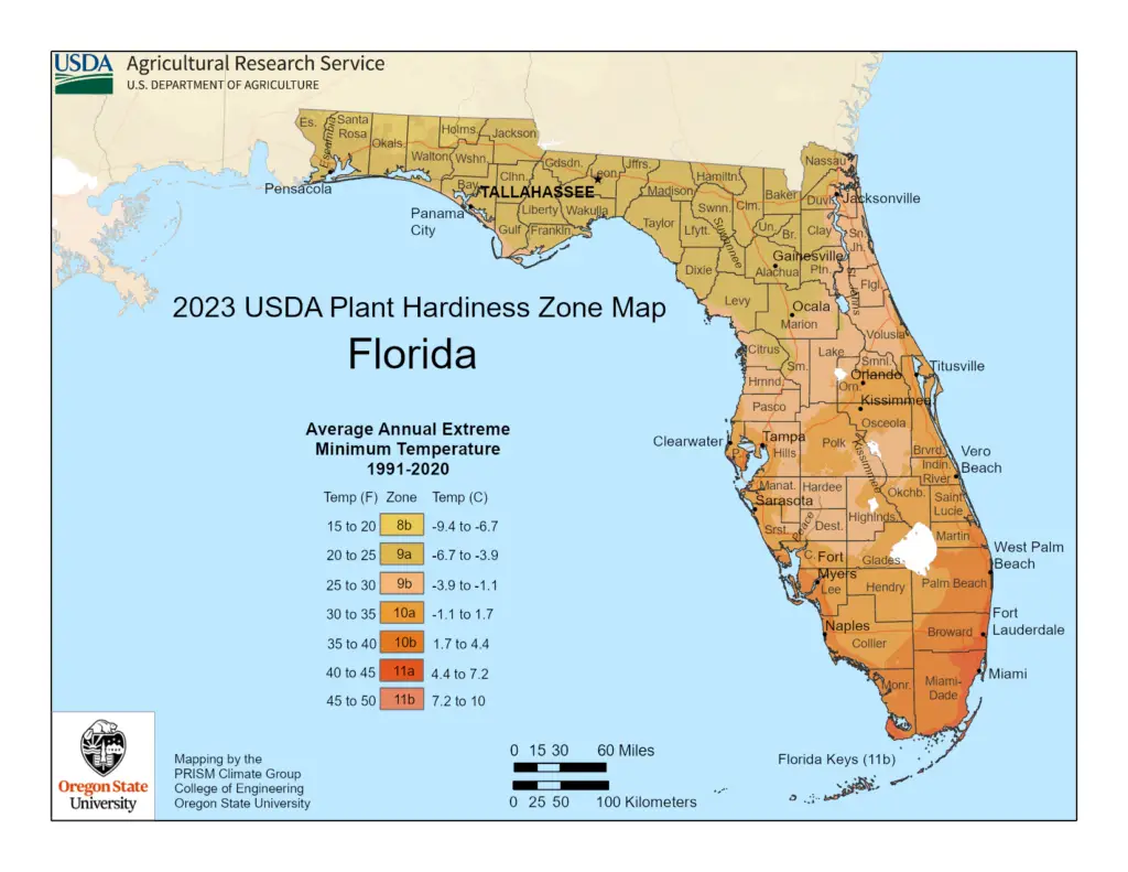 USDA Hardiness Zones map of Florida highlighting tropical Zones 9, 10, and 11, featuring a mold-resistant cannabis plant and the text 'Growing Weed In Florida', designed for high-humidity cultivation.
