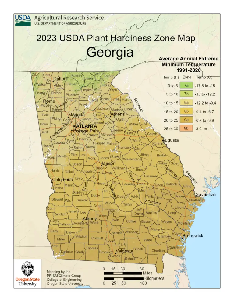 USDA Plant Hardiness Zone map of Georgia showing growing zones 7b, 8a, and 8b for cultivating cannabis, featuring a marijuana plant icon and text Growing Weed In Georgia.