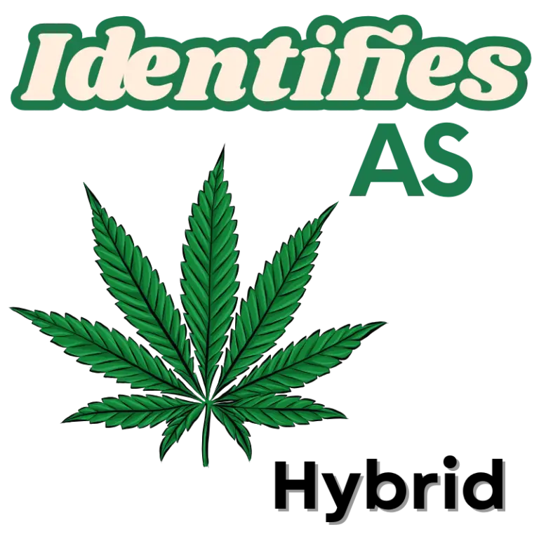 Alt Text (Alternative Text): Premium hybrid cannabis seeds macro shot, speckled brown shells ready for germination, balanced indica-sativa marijuana genetics for vigorous growth.