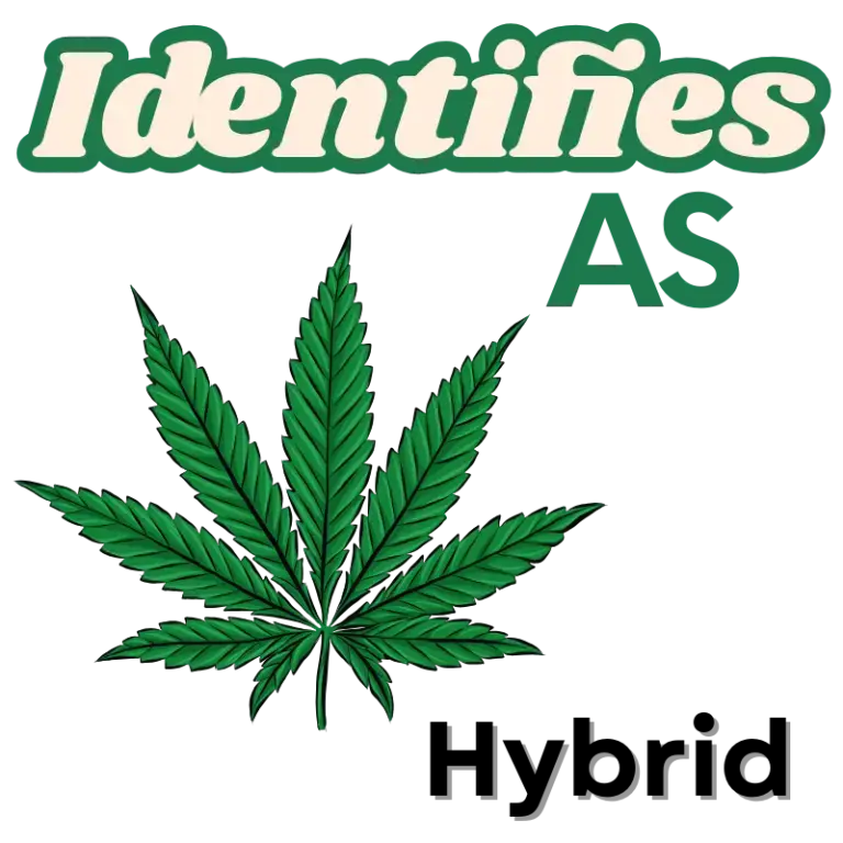 hydird cannabis strains