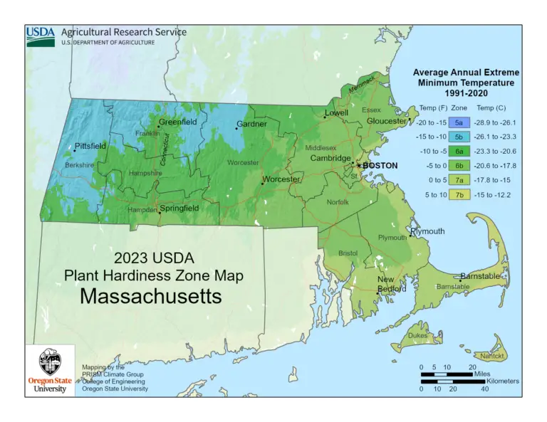 USDA Plant Hardiness Zone map of Massachusetts showing zones 5b, 6a, and 7a for outdoor cannabis cultivation, featuring a marijuana plant icon and text "Massachusetts Outdoor Grow Guide