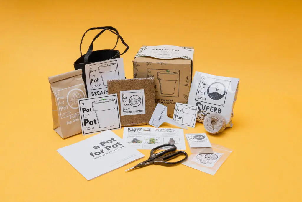 bonsai cannabis grow kit