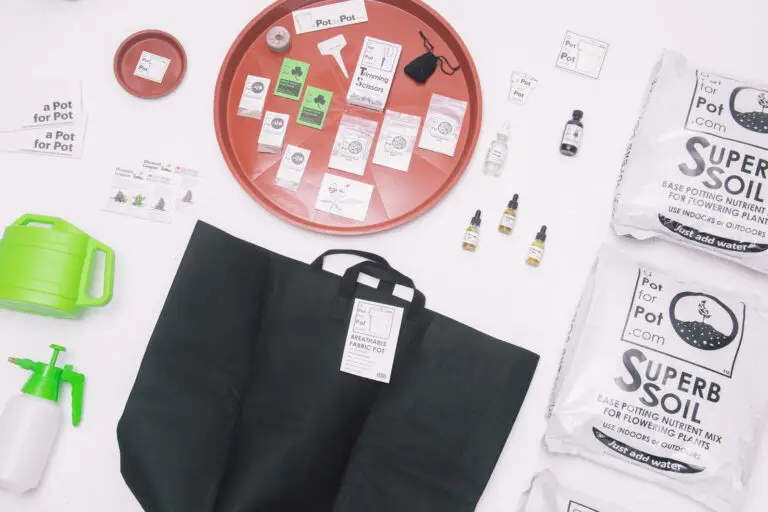 Complete large outdoor cannabis grow kit by a Pot for Pot, including 5-gallon fabric pot and super soil, ready for Virginia home growers.