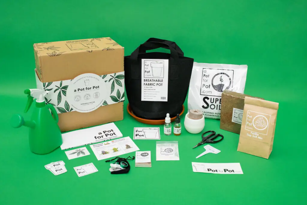 All the parts of a complete kit to grow a small cannabis plant