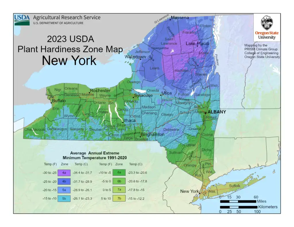 USDA Plant Hardiness Zone map of New York State, color-coded to show growing zones 3 through 7.