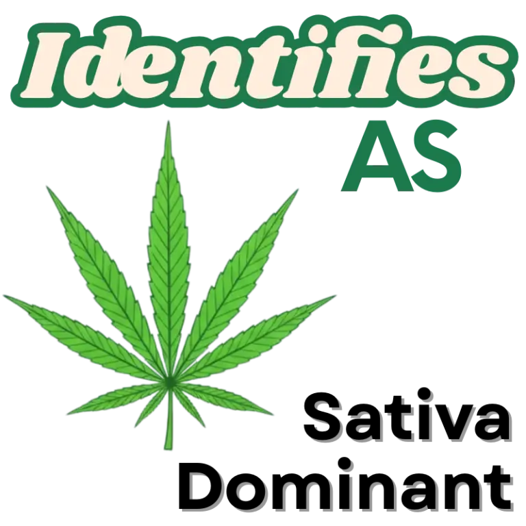 Sativa Dominate Seeds