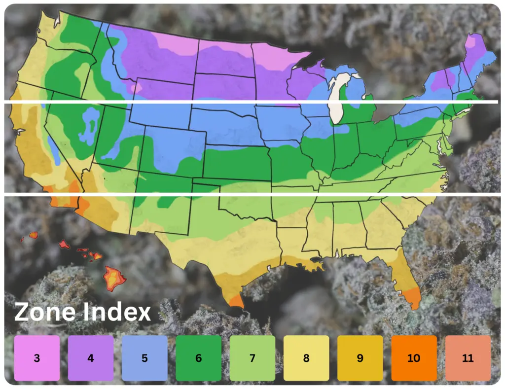 Interactive USDA Hardiness Zone map for selecting cannabis seeds based on local climate, frost dates, and growing season length.
