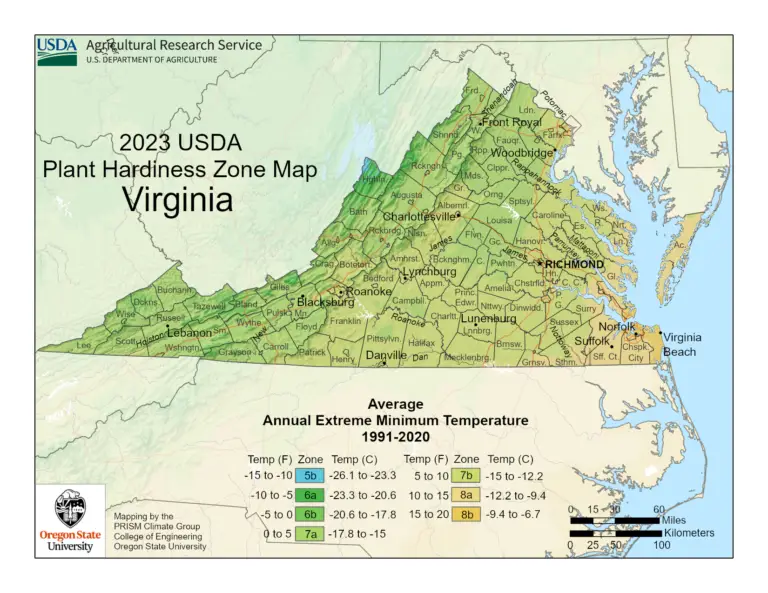 USDA Plant Hardiness Zone map of Virginia showing growing zones 7a, 7b, and 8a for cultivating cannabis, featuring a marijuana plant icon and text "Virginia Outdoor Grow Guide.