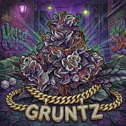 Gruntz strain card
