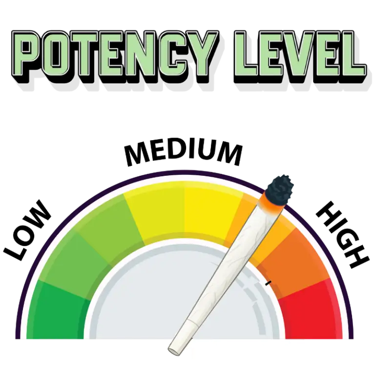 medium high cannabis strains