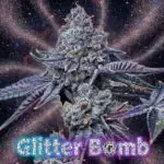 Glitter bomb strain card