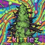Zkittlez strain information and seeds