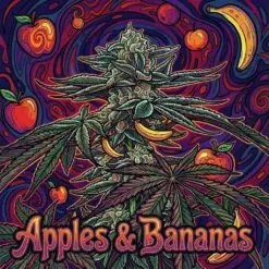 Appels and bananas strain card and information