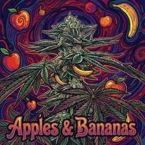 Appels and bananas strain card and information