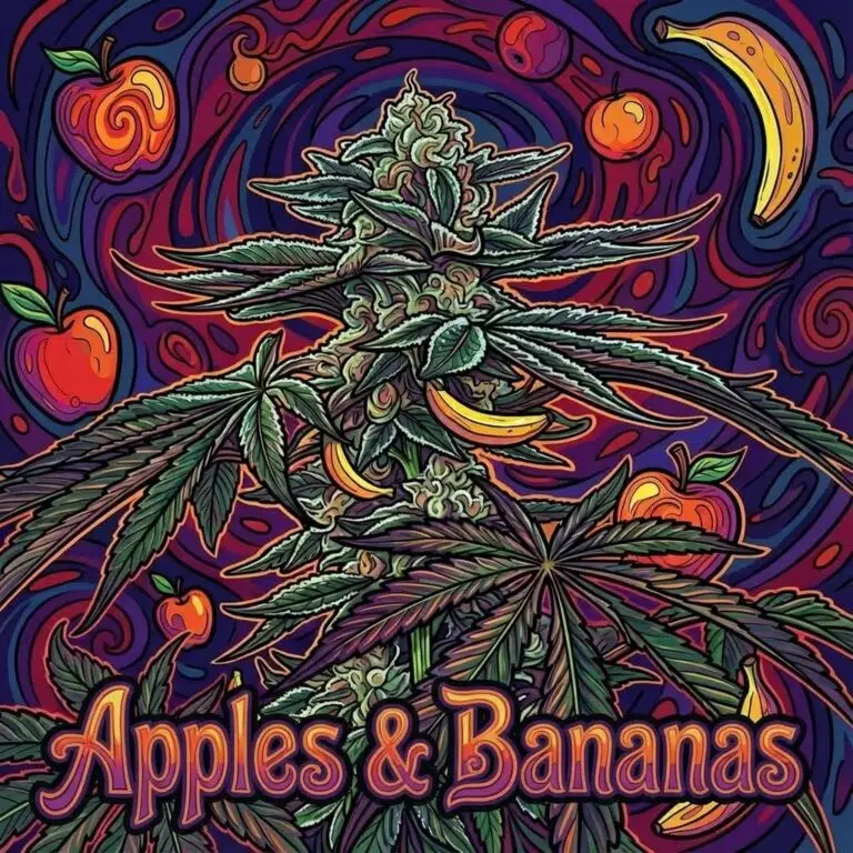 Apples & Bananas feminized cannabis seeds