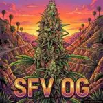 SFV Seeds Strain Card