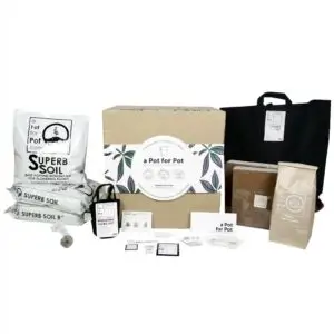 a Pot for Pot outdoor