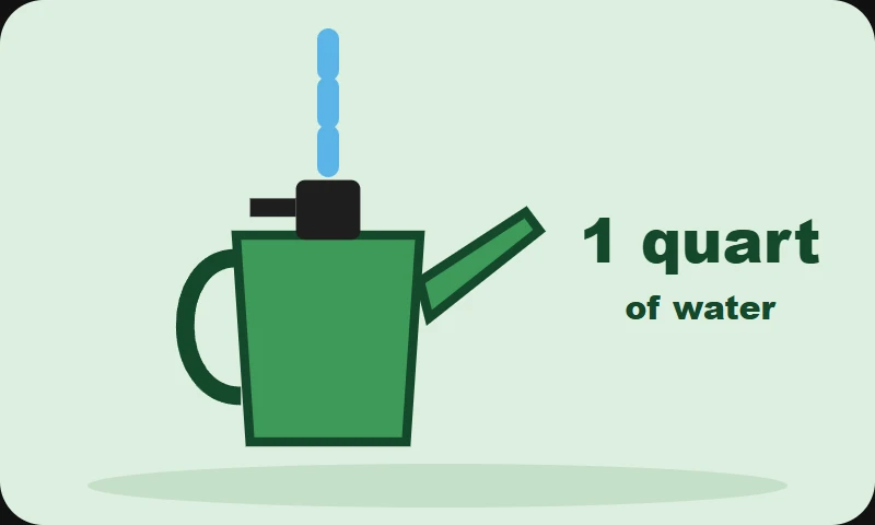 Illustration: filling a watering can with 1 quart of water