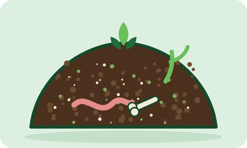 Cutaway mound of dark Superb Soil with a worm, kelp and bone meal