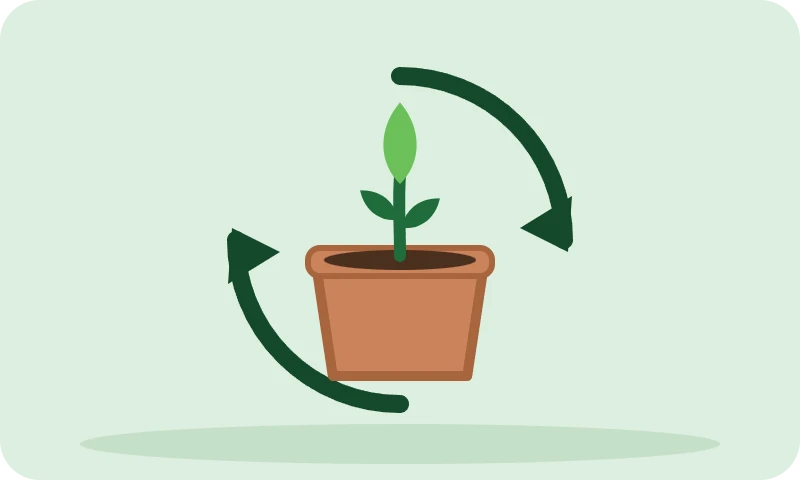 Potted plant inside a circle of arrows: reuse Superb Soil grow after grow