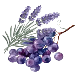 Lavender icon for the linalool terpene