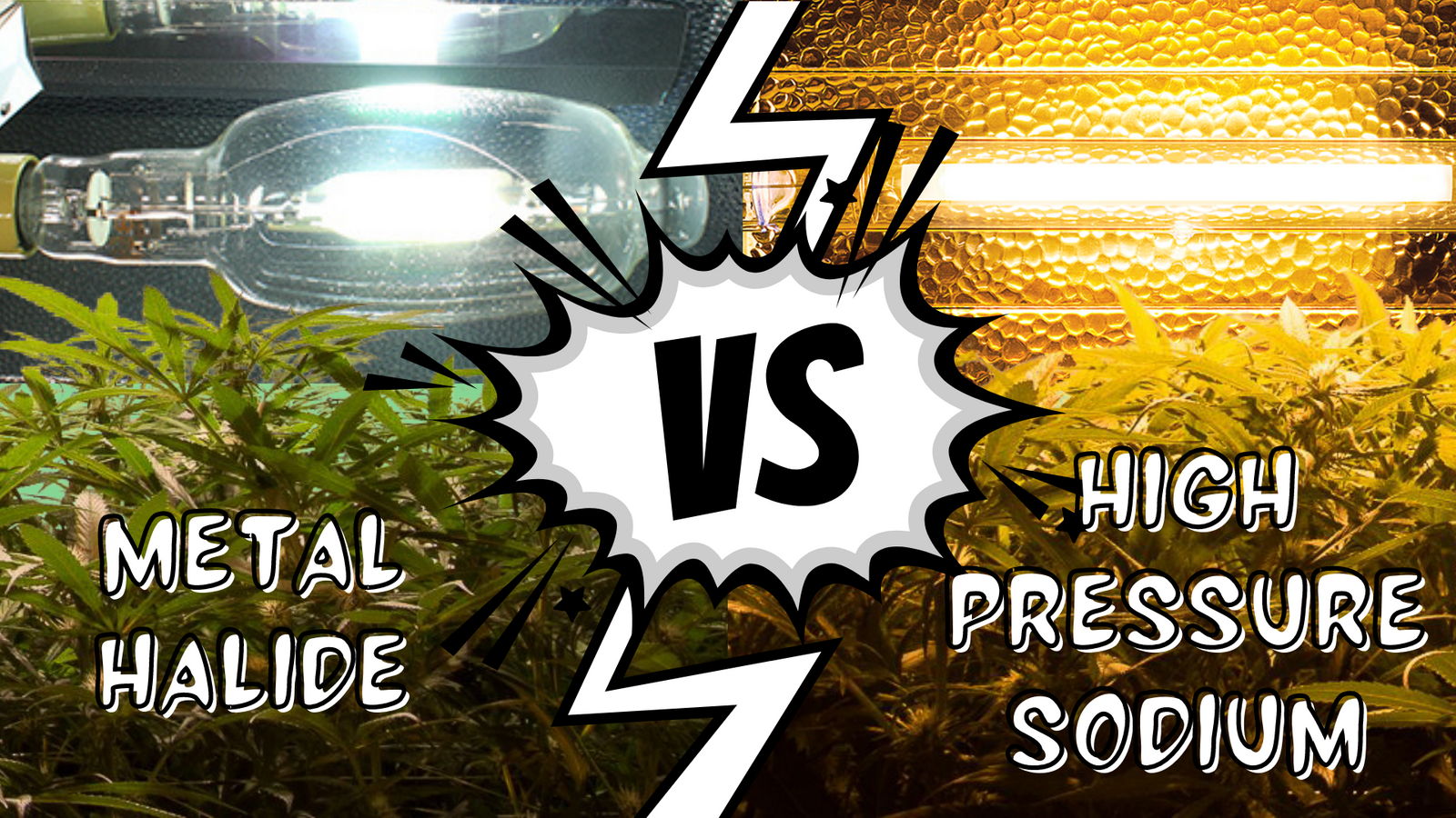 Sodium halide grow lights online